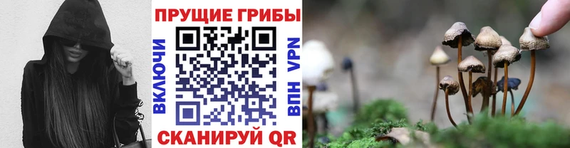 Псилоцибиновые грибы Magic Shrooms shop формула Чистополь купить наркотик